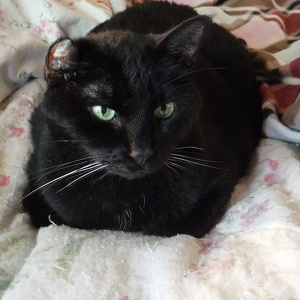 Fundraising Page: Marcie Mathis